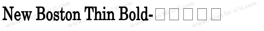 New Boston Thin Bold字体转换